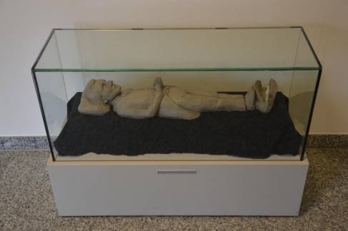 More Details Exhibition